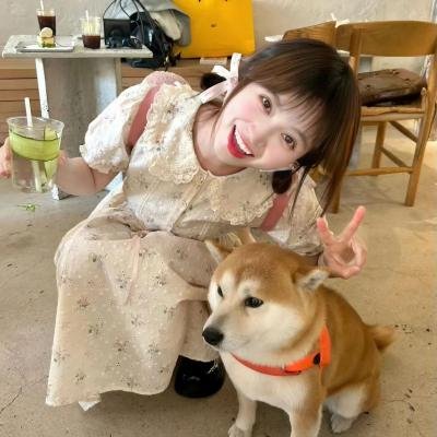 地下室的7人